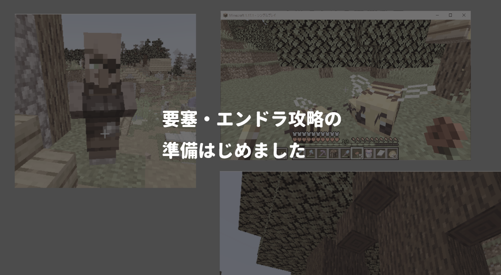 【マイクラ】ネザー要塞やエンドラ討伐の準備 22 ｜ Luckのminecraft